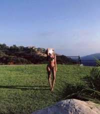Unutulmaz Bir Deneyim İçin Antalya Elit Escort Bayanın Profili
